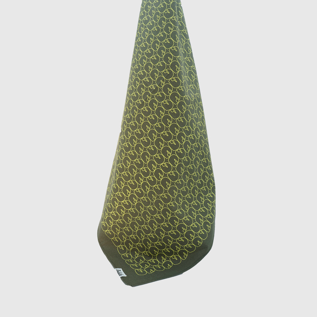 PALIACATE CASCOS F1